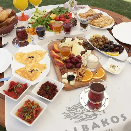 酒店 Salbakos Herakleia 2*